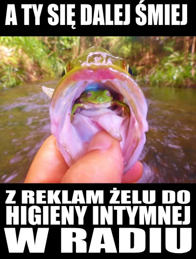 Ian_Ard - #zeldohigienyintymnej #humorobrazkowy #zwierzeta #rmffm #radiozet ##!$%@? #...