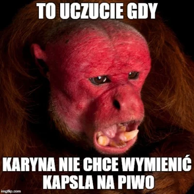 przypadkowylogin - #polak #uakari #heheszki #humorobrazkowy
a gdyby tak czerwieniącą...