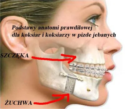 r.....l - > Zbieram szczenke z ziemi

@rezystor321: jak już to szczękę, a w ogóle t...