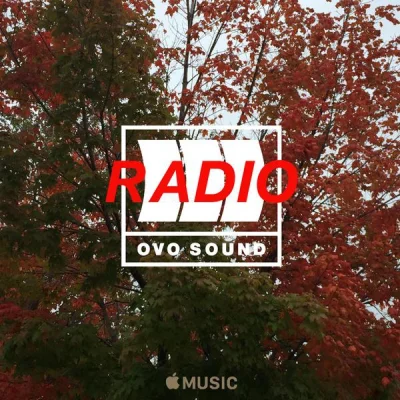 kwmaster - Dzisiaj o północy OVO Sound Radio na beats 1.
Gościnne mixy:
Nineteen85 ...