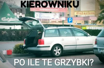 prezes224 - A po grzybobraniu odpoczywam w mojej limuzynie. 
#mirek #grzybobranie #gr...