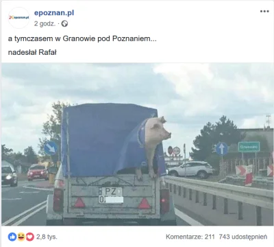 bobersremok - Tymczasem u nas w Poznańskiem...

#heheszki