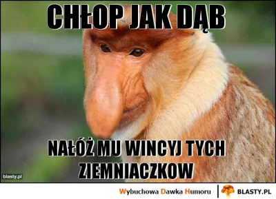 marek264 - @czolgistka93: