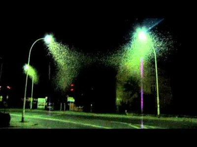 AleksanderRoz - @yatato: to nie komary a jętki, żyją 1 dzień i tworzą takie ultra sta...