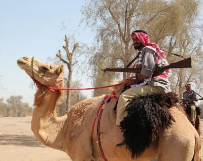 sln7h - @atestowanie2: Duzo sie nie mylisz. Trucial Oman Scouts (za czasow protektora...