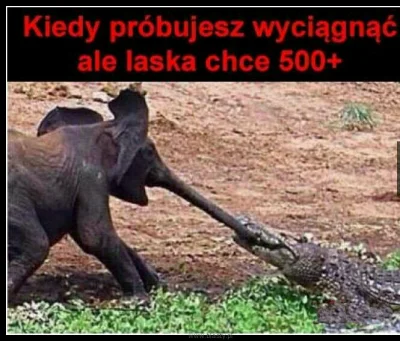 Rezonator - ! #heheszki #500plus #humorobrazkowy