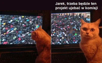 lkg1 - Co tak naprawdę się wydarzyło z projektem Ordo Iuris.
#neuropa #czarnyprotest...