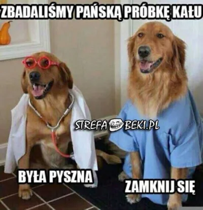 B.....7 - #heheszki #smiesznypiesek