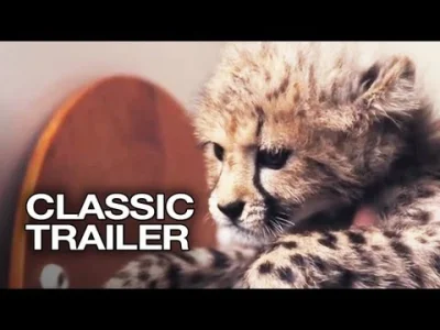 Amadeo - Gepardy są spoko - to takie większe kociska. Jest taki film "Duma: Powrót do...
