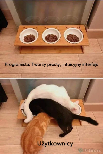 PrtSc - Każdy dzień w pracy... #koty #heheszki #humorobrazkowy #humorinformatykow #pr...