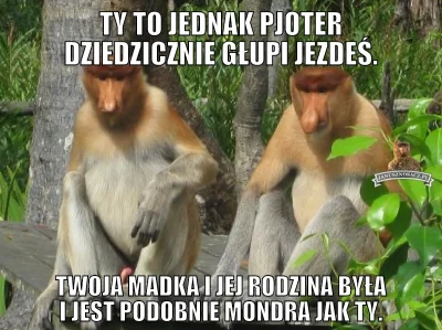 wlepierwot - #polak #nosaczsundajski #heheszki #humorobrazkowy #polskiedomy