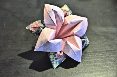 pansiano - wierzę, że to #origami się spodoba #rozowypasek 
ʕ•ᴥ•ʔ