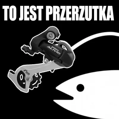 RzecznikWykopu