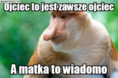 PawelW124 - #humor #heheszki #polak #nosaczsundajski #nosacz #pdk