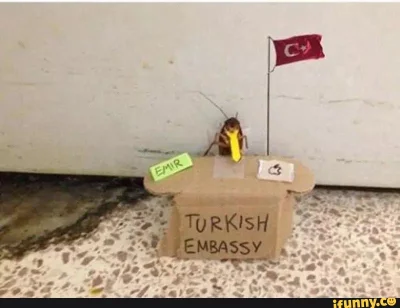 Maelstrom94 - @muak47: Turecka ambasada, wstrząśnięta tą wiadomością.( ͡° ͜ʖ ͡°)ﾉ⌐■-■