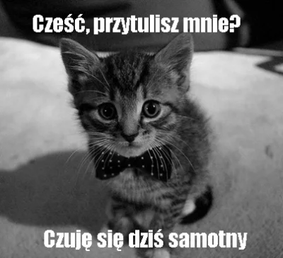 Nightcrawler1609 - Taki tam słodziak #koty #kot #rozowepaski