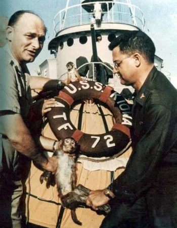 N.....h - @maupolina po melanżu na holowniku USS Iowa.
#fotohistoria #1959