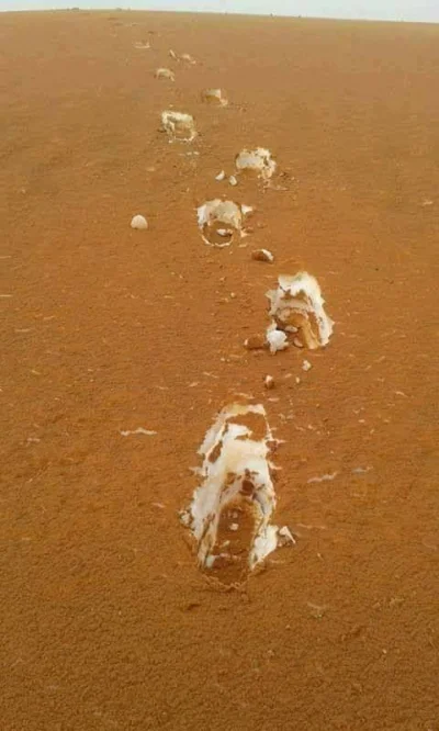 Mesk - Śnieg przykryty przez piach na pustyni algierskiej wygląda jak tiramisu #fotog...