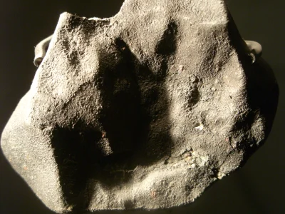 Middle-Earth - @Middle-Earth: na koniec mój faworyt. Murchison, Kohliger Chondrit (CM...