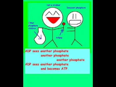 Biochemiczka_eM - Lepszy niż Harper i Stryer chociaż trzepie po mózgu
#biochemia #bi...