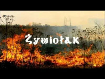 ludzik - #muzykawpracy #zywiolak