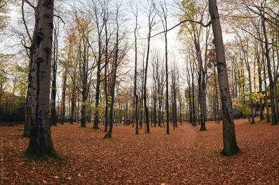 HulajDuszaToLipa - Nie każdy wie, ale mamy jeszcze taki zapuszczony park w #zakopane....