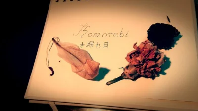 n.....e - Dziś w #slowanieznane:
 Komorebi - sunlight that filters through the leave...