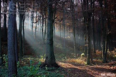 mactrix - Roztocze Południowe :) #roztocze #natureboners #natura #fotografia #mactrix...