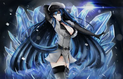 d.....g - #randomanimeshit #akamegakill #esdeath

SPOILER