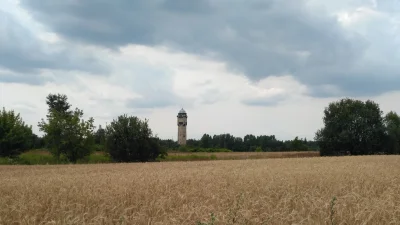sylwke3100 - Wieża ciśnień w zbożu


Czyli widok na wieże przy ulicy Korczaka z ok...