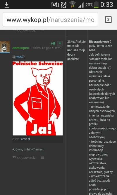 CegielniaPL - Czyli rozumiem 6eM, że jeśli nazwę cię świnią to nie masz prawa mi nic ...