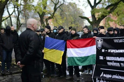 K.....a - Wieczna beka z Bąkiewicza, Winnickiego, Bosaka, Marzocha i innych organizat...