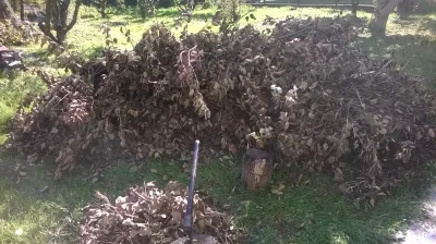 gasu_kurobikari - #heheszki 

Nie ma to jak wziąć wolne by się porządnie narąbać. ( ͡...