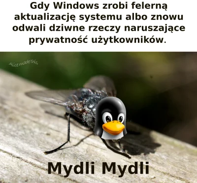 q.....n - #humorobrazkowy #humorinformatykow #komputery #heheszki #windows #windows10...