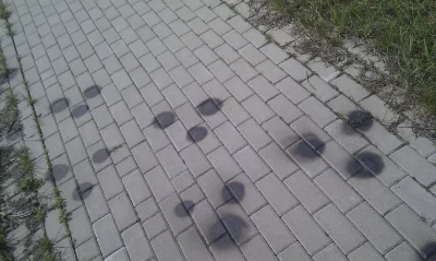 goromadska - Takie dziwne plamy zobaczyłem na chodniku biegnącym koło jednej z główny...