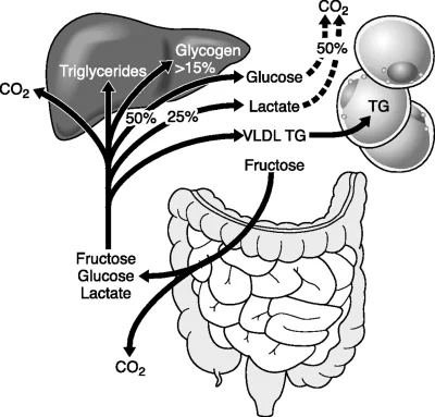 Drummer - @Gavroche: nie cała fruktoza jest przekształcana do glukozy.
