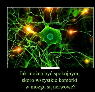 Chyukyank - No jak? #memy #humorobrazkowy #neurologia