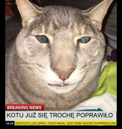 Z.....t - #heheszki #breakingnews #kot #postmemizm lub #kontrmemizm, nie jestem pewny...