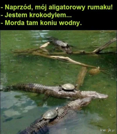 kijanka23 - #smiesznypiesek #humorobrazkowy