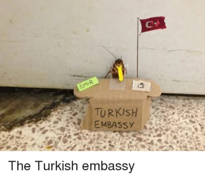 webdruid - @kucharz168: Turecka ambasada już wyraziła oburzenie Twoim zachowaniem