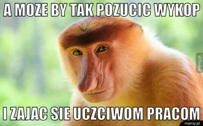 JanushWykopu - #wykop #nosacz #memy #malpa #heheszki #humorobrazkowy