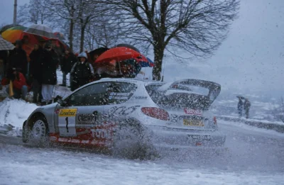 Karbon315 - Rally Monte-Carlo 2001
Marcus Gronholm / Timo Rautiainen - Peugeot 206 W...