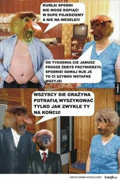 shnitzel - #humorobrazkowy #heheszki #nosaczsundajski ( ͡º ͜ʖ͡º)