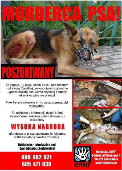 j.....2 - #wloclawek #morderca #psa #poszukiwany #nozownik