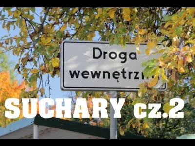 SuchyRAWR - Moja nowa kreacja. Tak to tu tylko zostawię :)
#youtube #pozytywnie #gra...