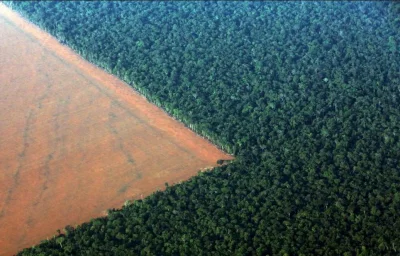 Porazka_Sezonu - Wycinanie Amazonii w Brazylii ;/ 

#zło #smutne #ciekawostka #amaz...