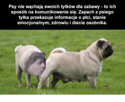 kofihj - nawiązując do statniej akcji jak jaca wąchał dupe typiarce

#danielmagical...