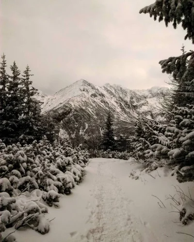 I.....j - Było miło i się skończyło.
#mojezdjecie #fotografia #tatry #gory #natura