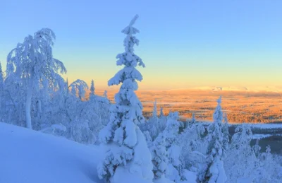 mordzia - love Lapland :).

#azylboners #earthporn #finlandia #gory