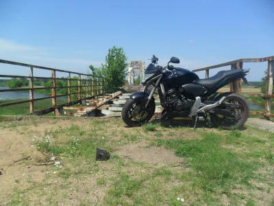 marcin899 - no i kolejne 250 km pykło, na zdj. opuszczony most kolejowy w #skwierzyna...